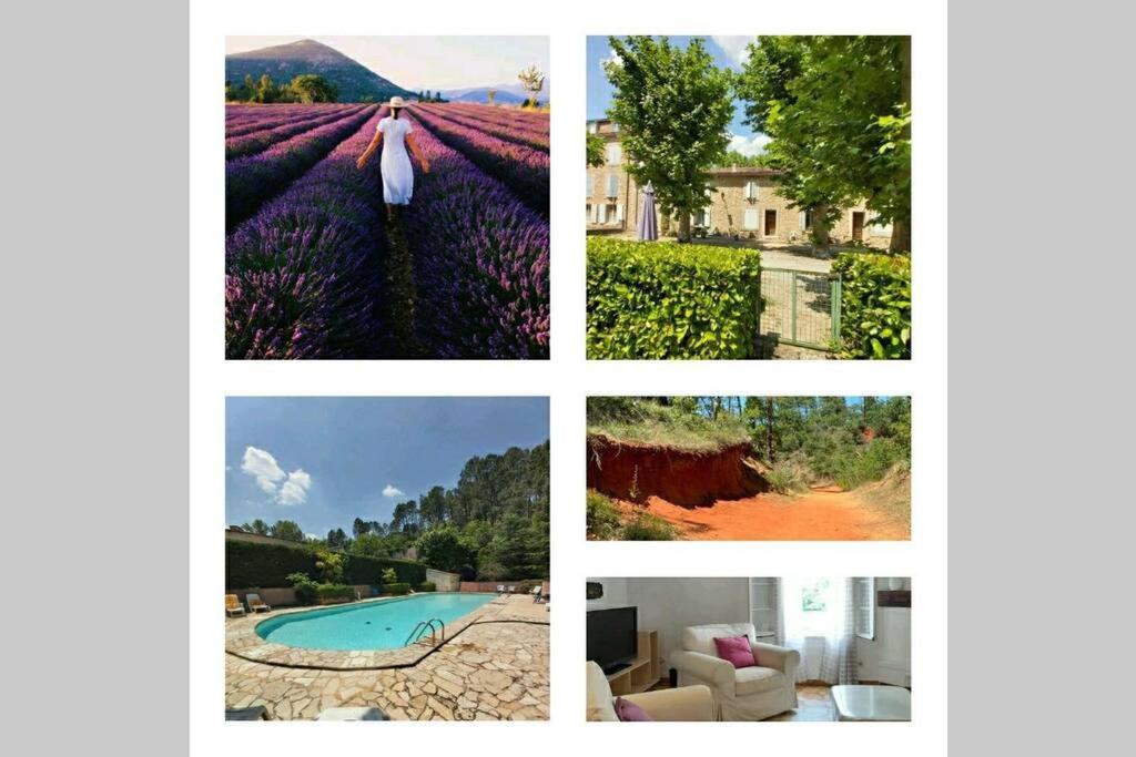 Eblouissant Appartement Au Calme D'Une Residence Avec Piscine Idealement Situe Au Pied Du Colorado Provencal Dans Le Prestigieux Luberon Rustrel Exteriör bild